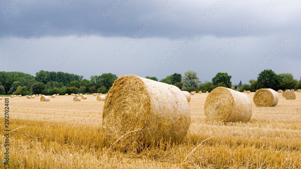 Heu Ballen Herbst Ernte 