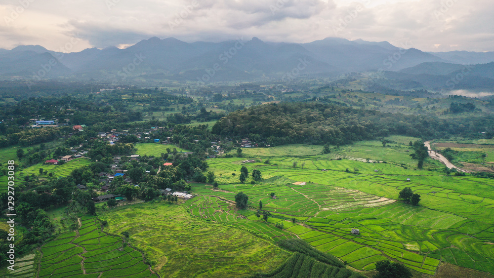 Green rice fields from above in Pai