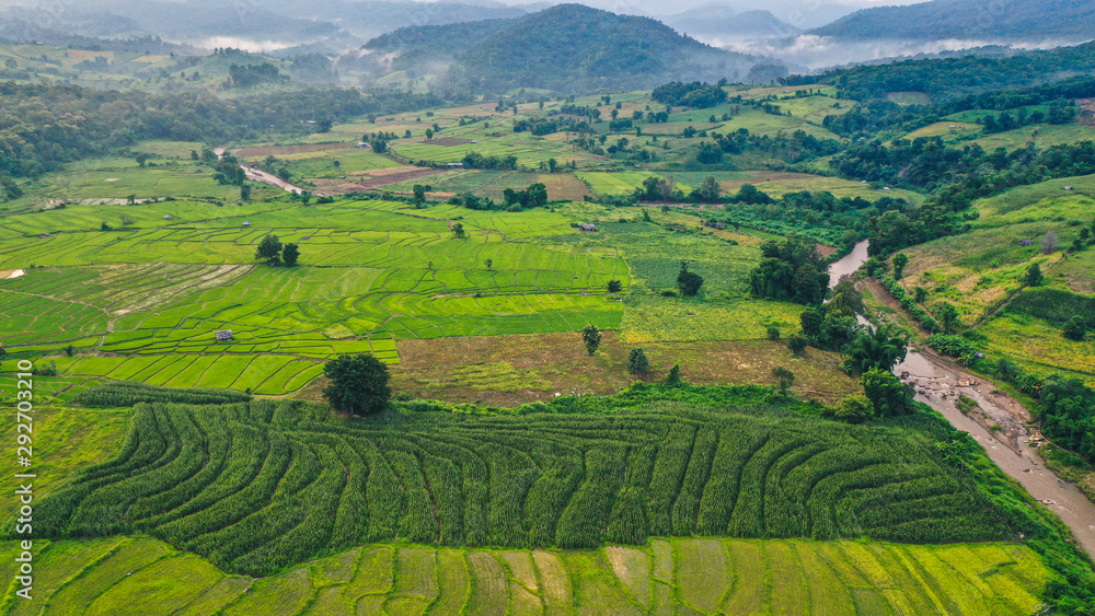 Fototapeta premium Green rice fields from above in Pai