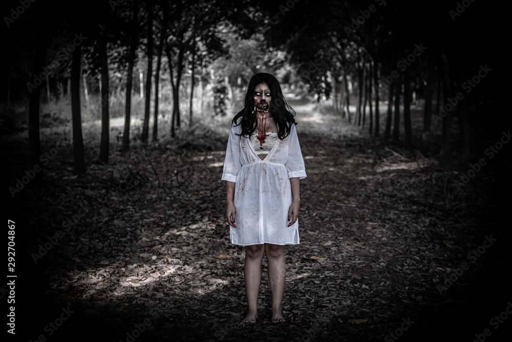 Portrait of asian woman make up ghost face with blood,Horror scene,Scary background,Halloween poster,Thailand people Portrait of asian woman make up ghost face with blood,Horror scene,Scary background,Halloween poster,Thailand people