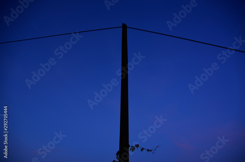 Old wooden electric post power pole with ivy growing up towards evening dark blue sky