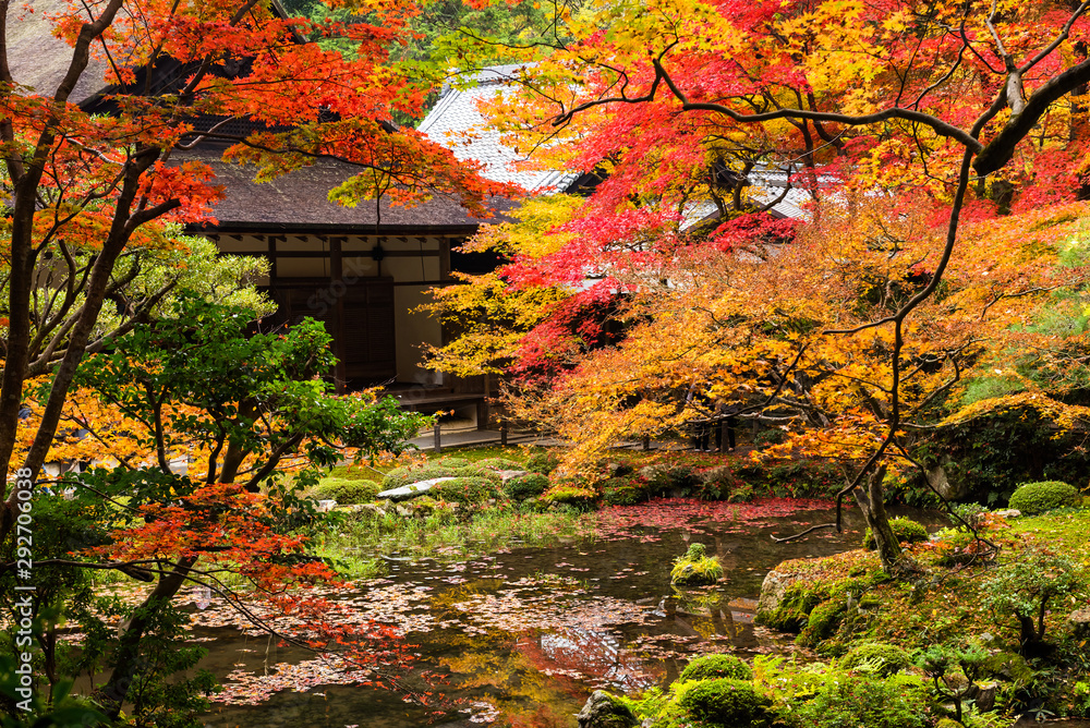 Autumn garden in Nanzen-ji Temple, Kyoto