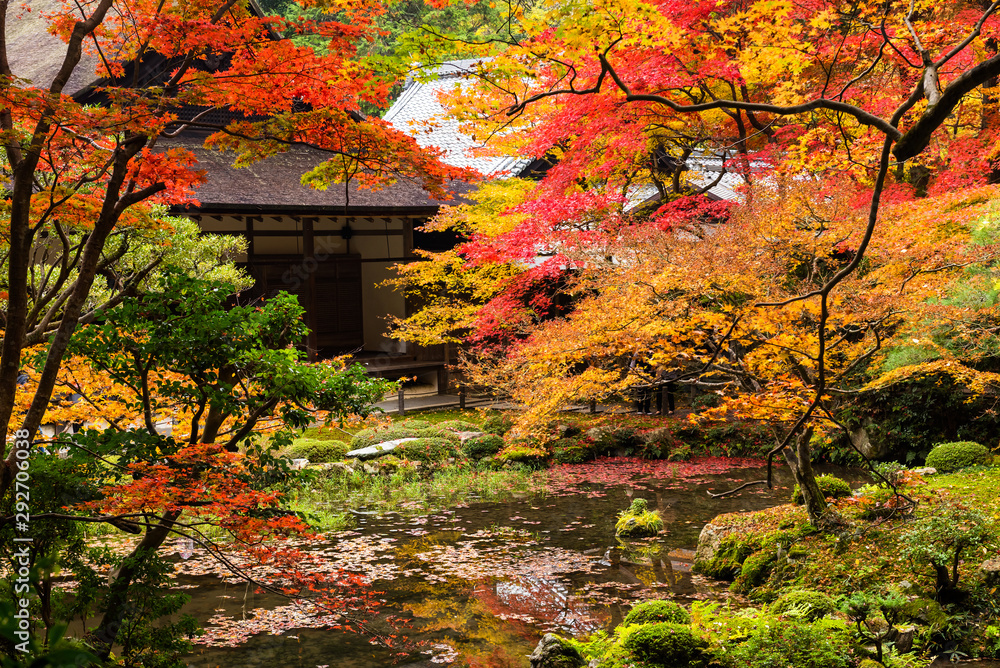 Autumn garden in Nanzen-ji Temple, Kyoto Autumn garden in Nanzen-ji Temple, Kyoto
