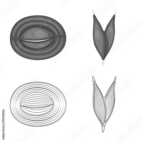 Vector design of fiber and muscular icon. Set of fiber and body vector icon for stock.