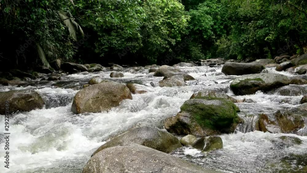 Beautiful refreshment green scenery with fast water flow between the rock at Sungai Sedim, kedah, Malaysia. Beautiful refreshment green scenery with fast water flow between the rock at Sungai Sedim, kedah, Malaysia.