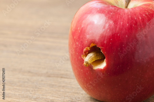 A caterpillar climbs out of a hole in a red apple