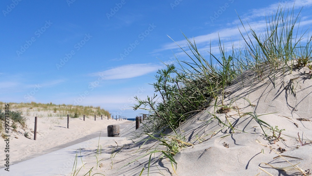 Ostsee  Sand  Düne  Warnemünde 