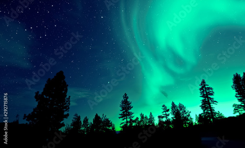 Northern lights aurora borealis over trees 