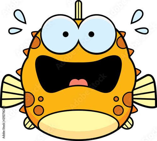 Scared Little Blowfish