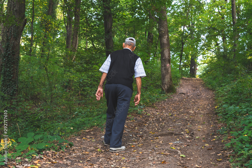 The elderly man enjoys nature and walks the path through the forest The elderly man enjoys nature and walks the path through the forest