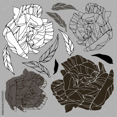 Set with vector botanical illustrations. Design in black and white style. Elements isolated on background. Can be used for printing on paper, stickers, badges, jewelry, postcards, textiles, tattoos.