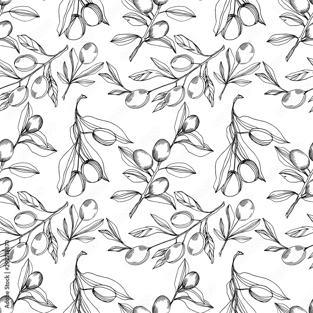 Fototapeta premium Vector Olive branch with fruit. Black and white engraved ink art. Seamless background pattern.