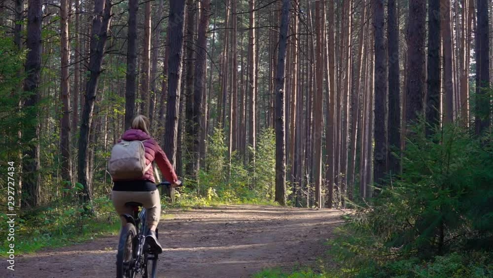 Female Cyclist Riding Bicycle in Pine Forest in Early Autumn. Outdoor Sport Activity Female Cyclist Riding Bicycle in Pine Forest in Early Autumn. Outdoor Sport Activity