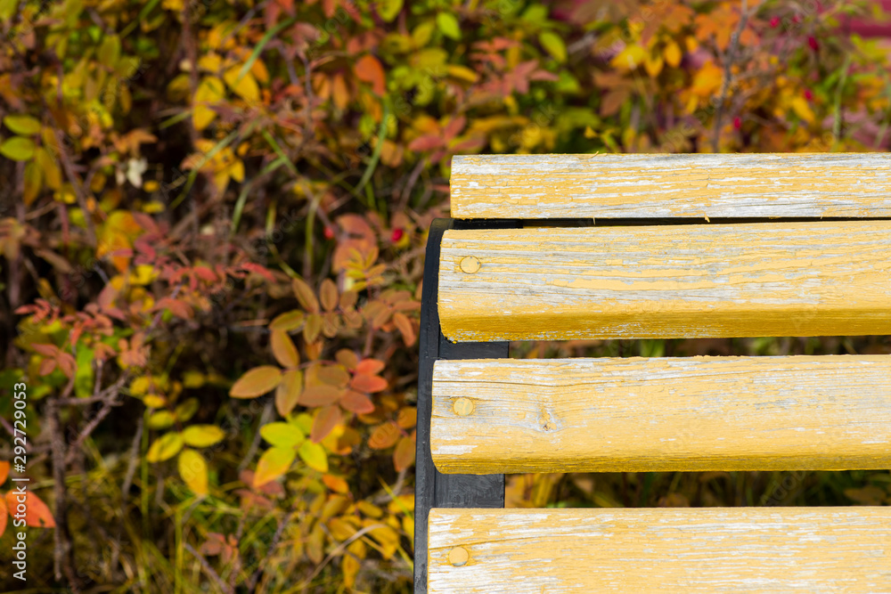 Fototapeta premium autumn leaves on wooden bench