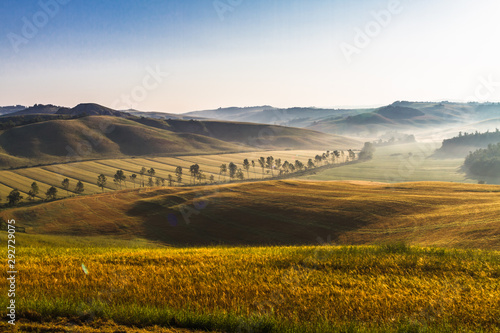 Toskana Landschaft Frühnebel