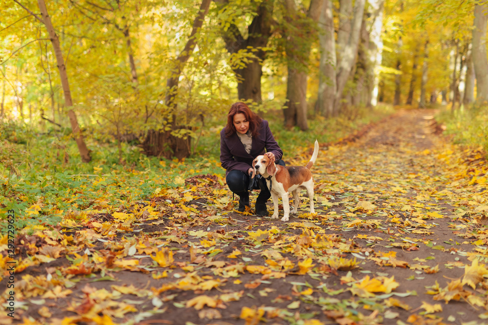 woman with dog in autumn park woman with dog in autumn park