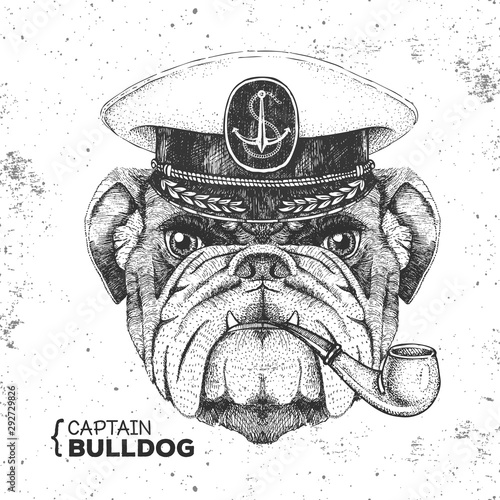 Hipster animal bulldog captain's cap and smoking pipe. Hand drawing Muzzle of bulldog