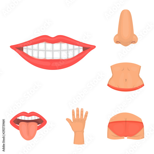 Isolated object of body and part icon. Set of body and anatomy stock symbol for web.