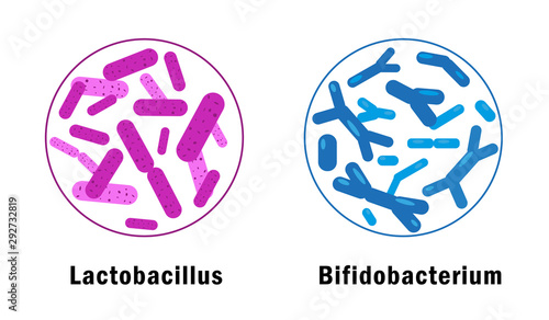 Good bacteria set isolated on white background. Microorganisms vector illustration. photo