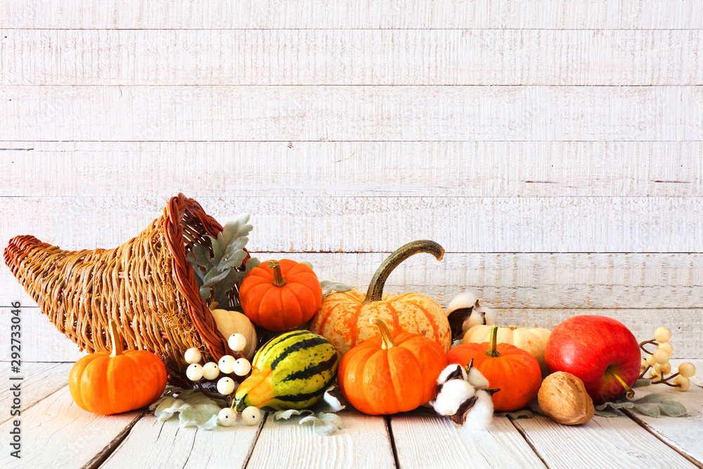 Thanksgiving cornucopia filled with autumn vegetables and pumpkins against a rustic white wood background - obrazy, fototapety, plakaty 