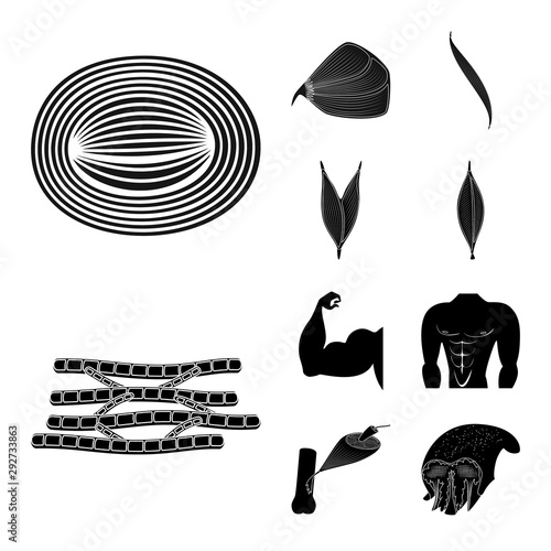 Vector illustration of human and body symbol. Set of human and cells vector icon for stock.