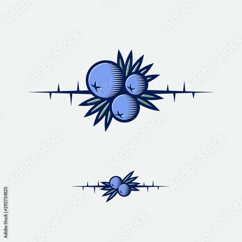 Juniper berries with leaves and thorns illustration. Blackthorn berries. Decorative composition.