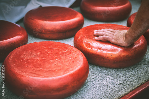 Holland cheese rounds at traditional market photo