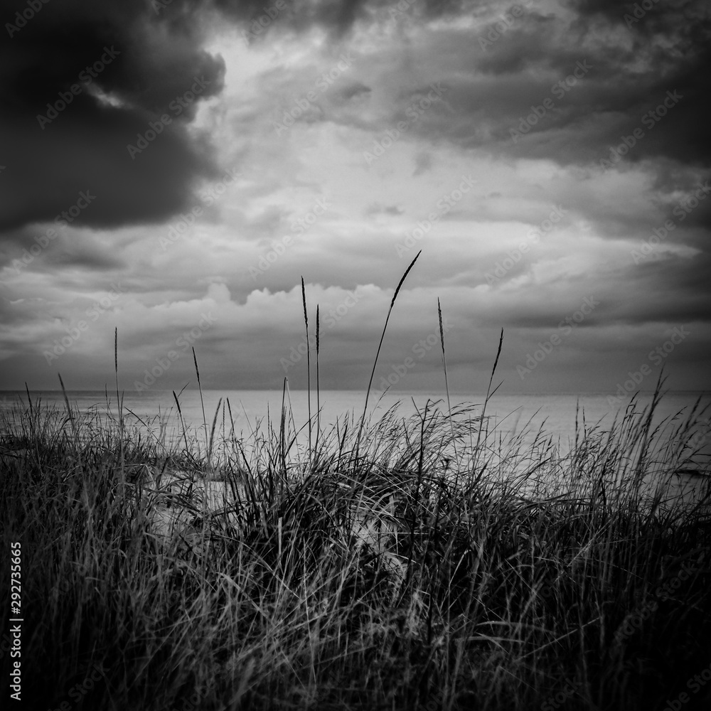 Obraz premium Straws with the ocean and dramatic clouds as backdrop.