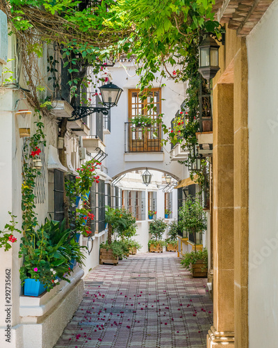 A picturesque and narrow street in Marbella old town, province of Malaga, Andalusia, Spain. photo