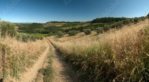 Dirt track in the Tuscan agricultural landscape