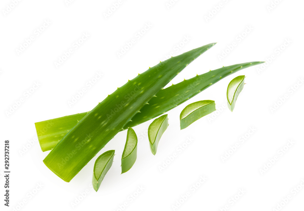 Aloe vera sliced plant isolated white background Aloe vera sliced plant isolated white background