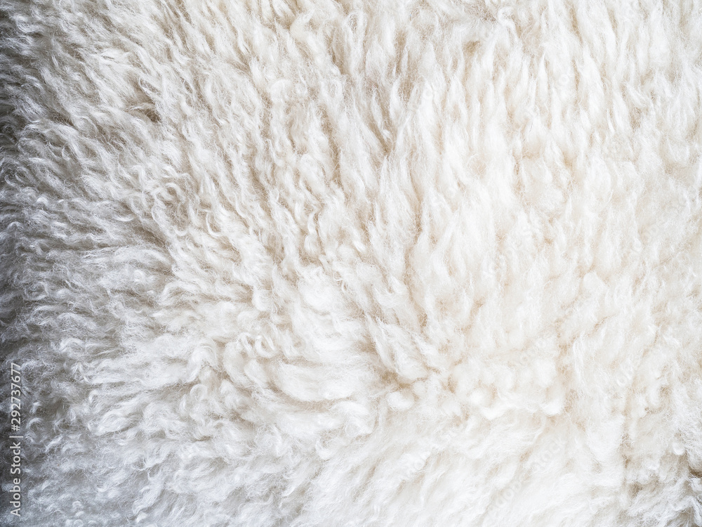 close up shot of sheep fur skin close up shot of sheep fur skin