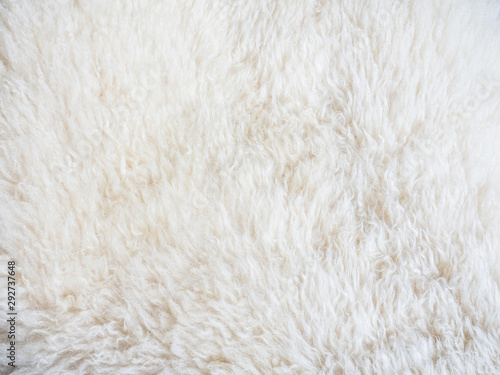 close up shot of sheep fur skin