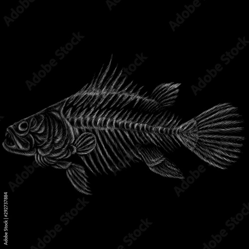 The Vector logo fish skeleton for tattoo or T-shirt design or outwear.  Cute print style fish skeleton  background. This drawing would be nice to make on the black fabric or canvas.