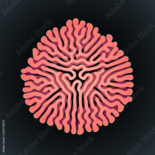 turing morphogenesis reaction diffusion element.