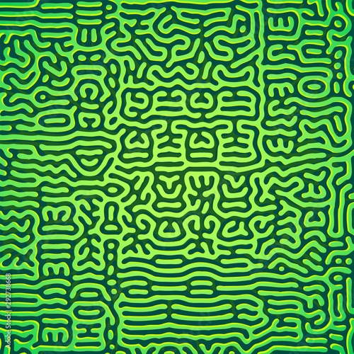 turing morphogenesis reaction diffusion pattern.