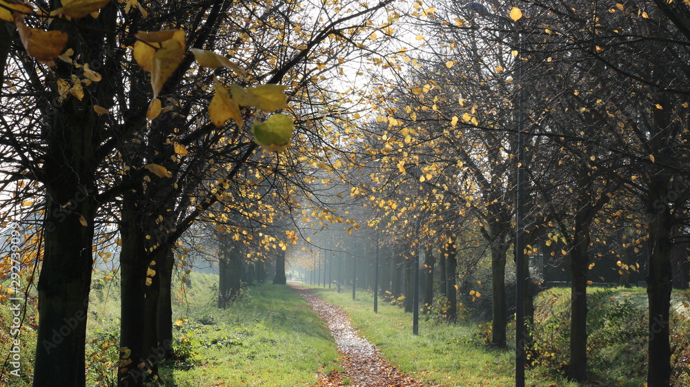 la Pévèle - Hauts de France - Automne la Pévèle - Hauts de France - Automne