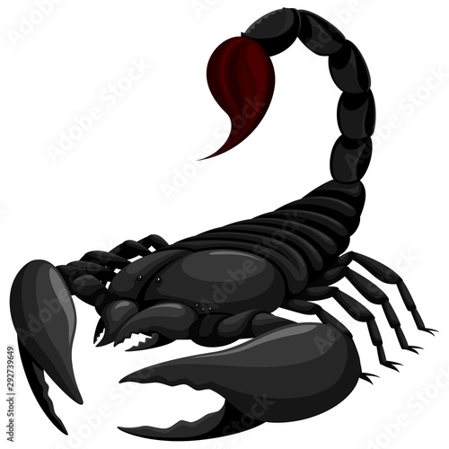 Vector illustration of a black scorpion.