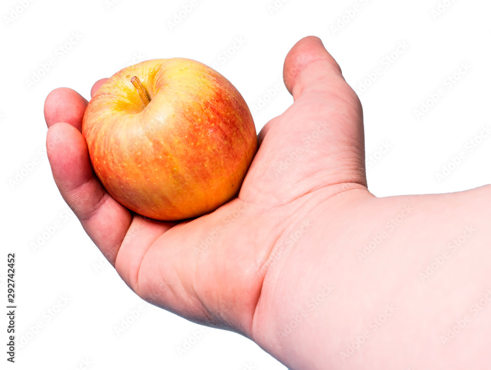 apple in hand in isolation on a white background apple in hand in isolation on a white background