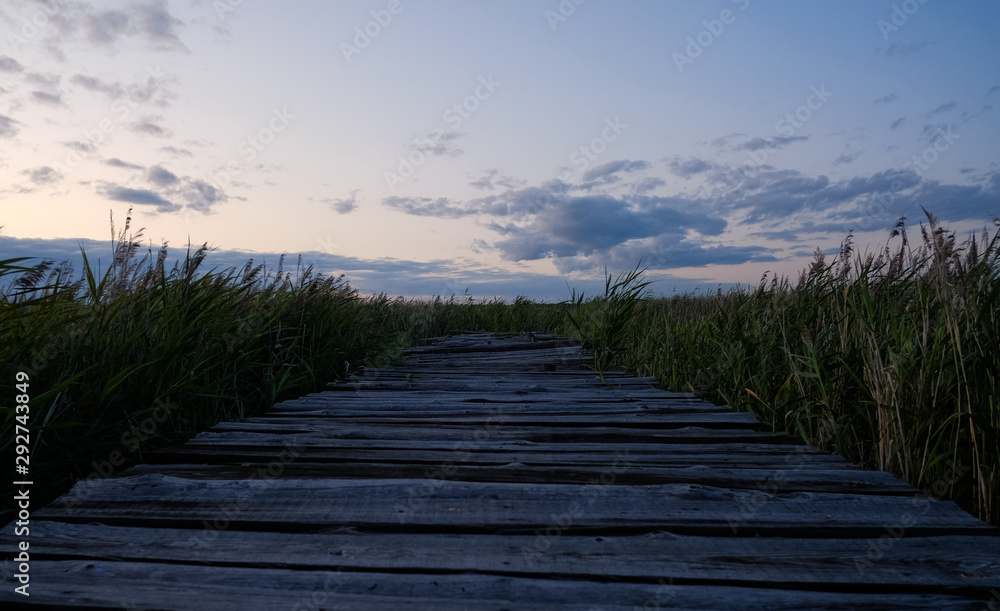 Wooden platform on the shore of the lake. Landscape With An Old Wooden ...