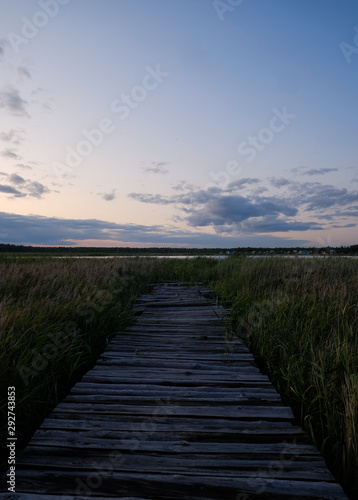 Fototapeta Naklejka Na Ścianę i Meble -  Wooden platform on the shore of the lake. Landscape With An Old Wooden Platform With A View Of The Reeds 