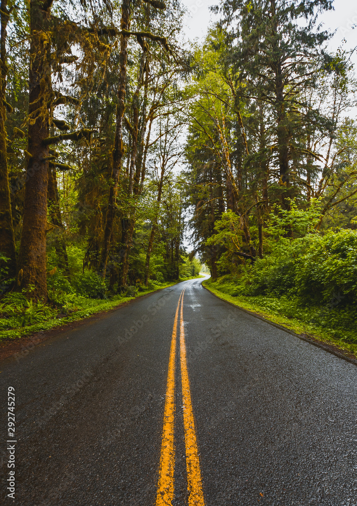 Washington Coast, Olympic NP, USA