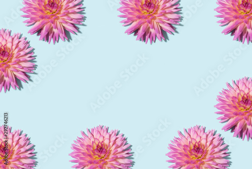 Floral pattern. Top view. Floral frame texture. Flat lay with pink dahlia flowers on pastel blue background. Greeting card