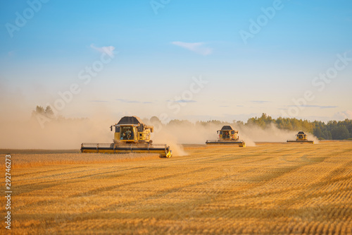 combine harvester working on a wheat field