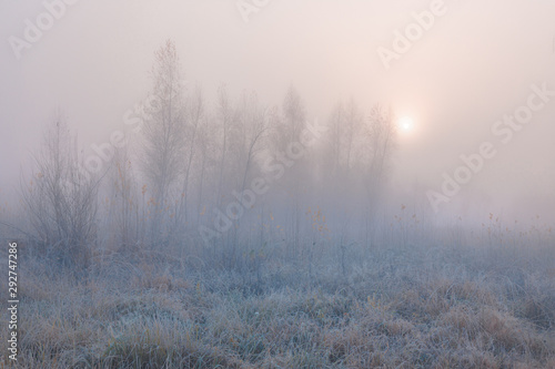 Beautiful autumn misty sunrise landscape. November foggy morning and hoary frost at scenic high grass meadow and copse.