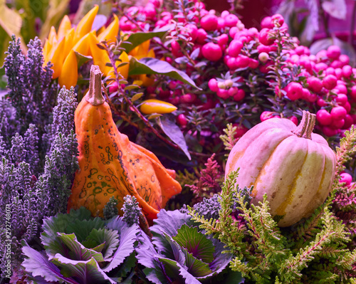 Veggies of the autumn