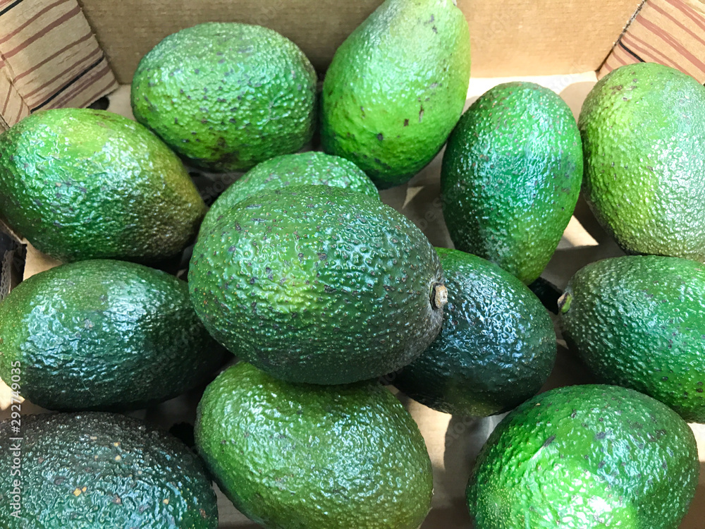 Close-Up Of Fresh Green Avocado Close-Up Of Fresh Green Avocado