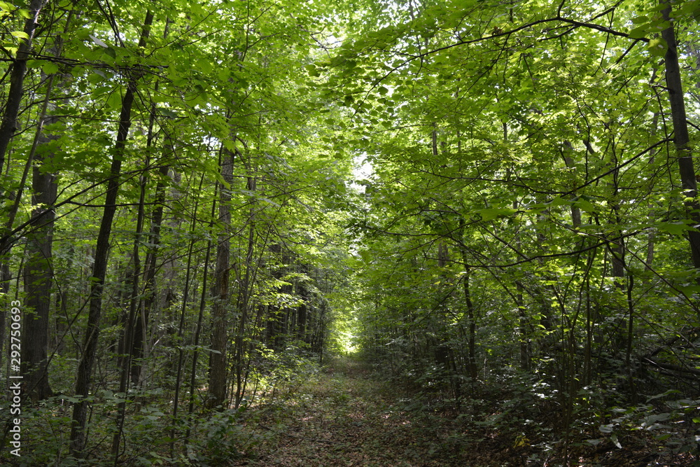 Obraz premium Cheboksary