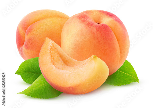 Isolated apricots. Two whole apricot fruits and a slice isolated on white background with clipping path