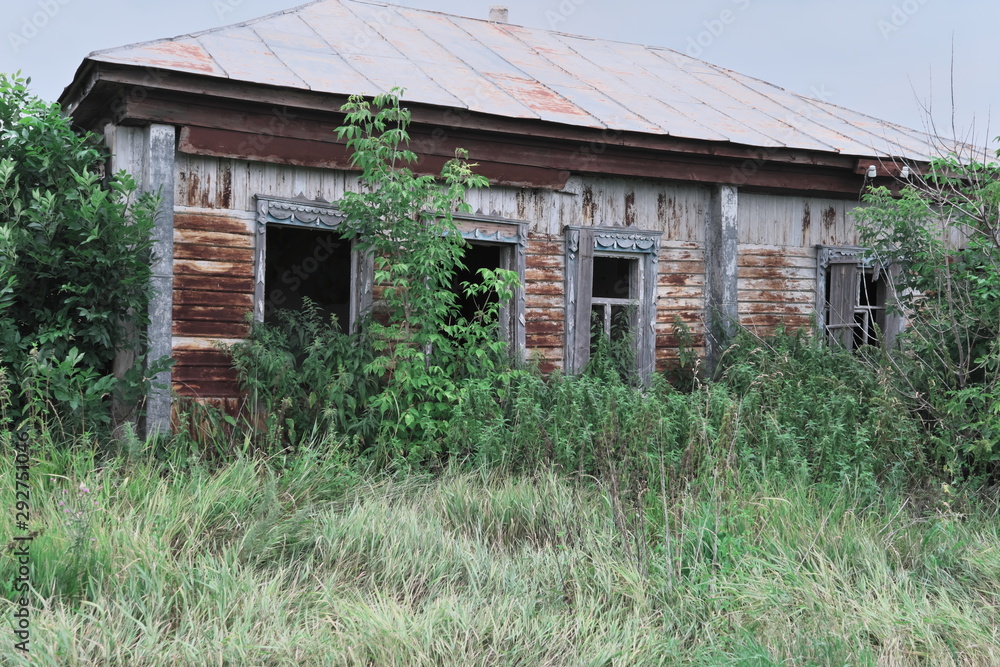 Old abandoned house overgrown with trees.